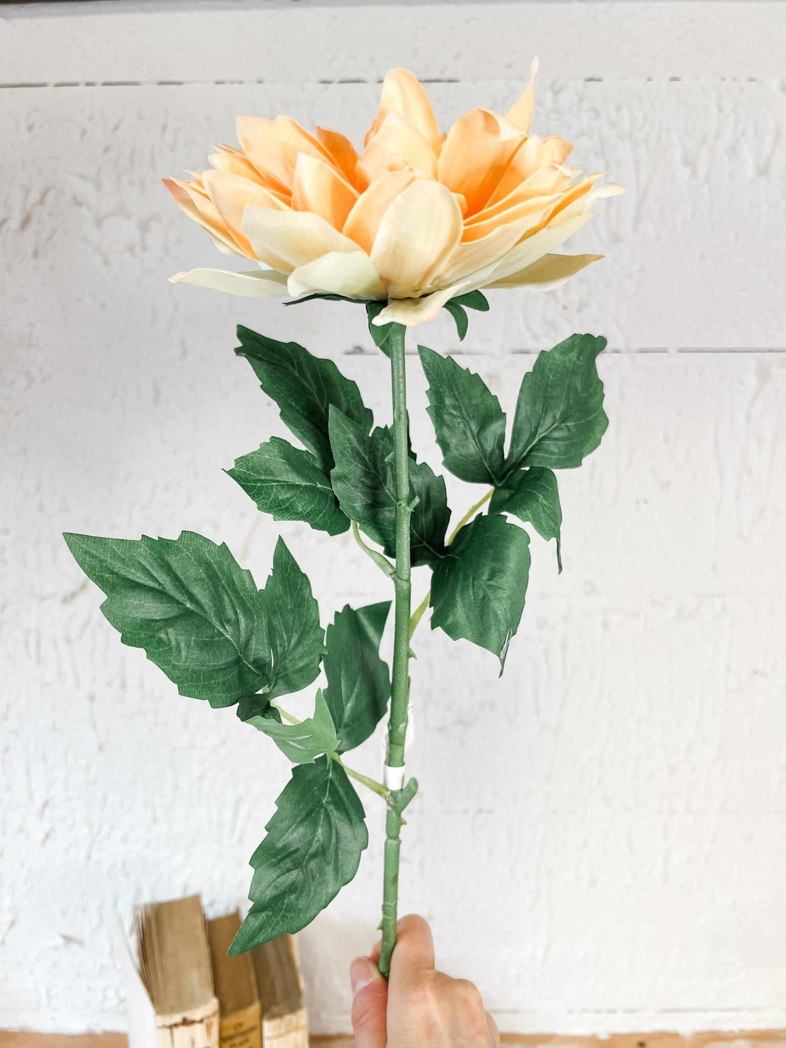 long stem real touch orange dahlia at the rustic barn in killingworth ct