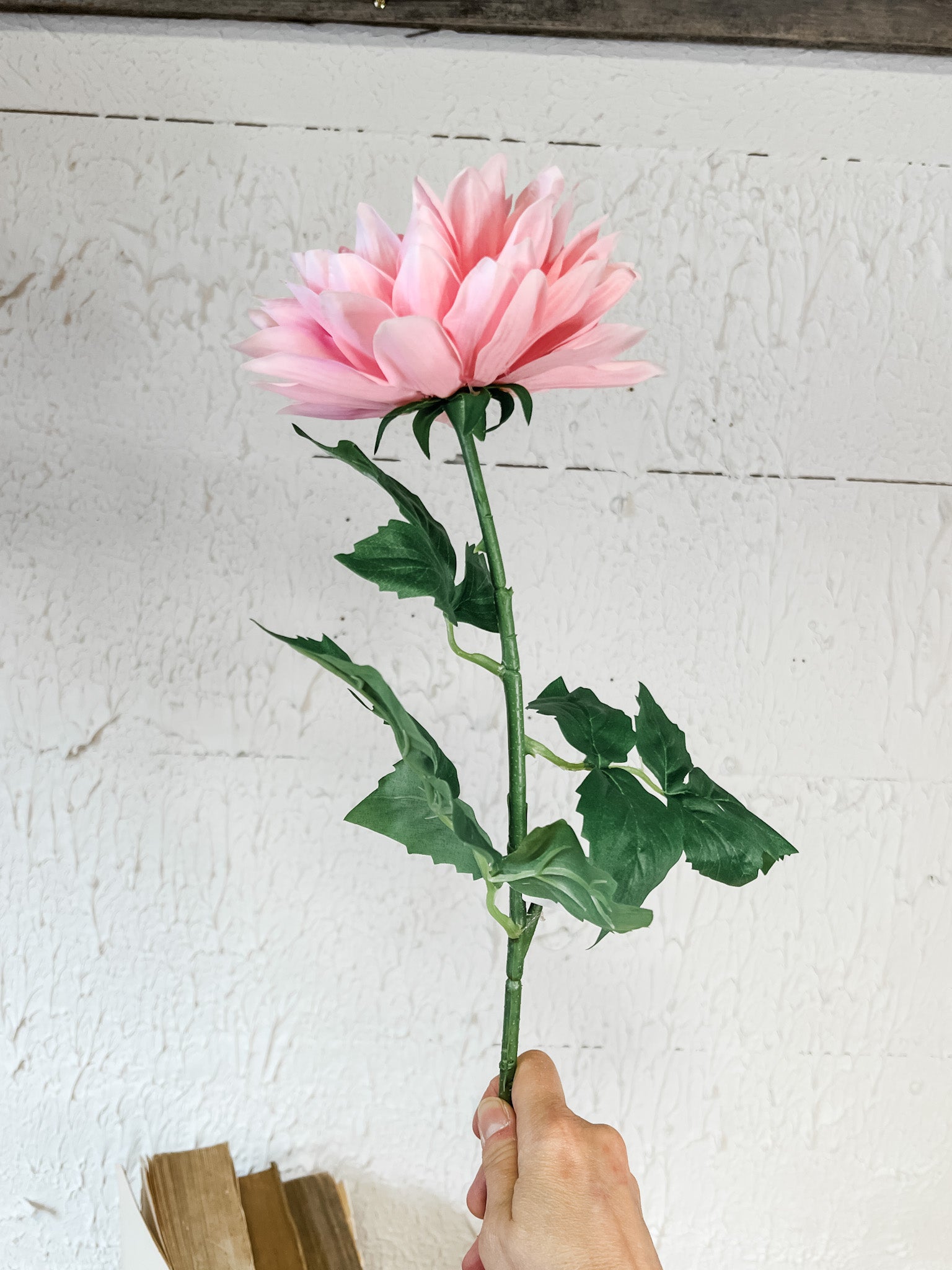 long stem real touch pink dahlia at the rustic barn in killingworth ct