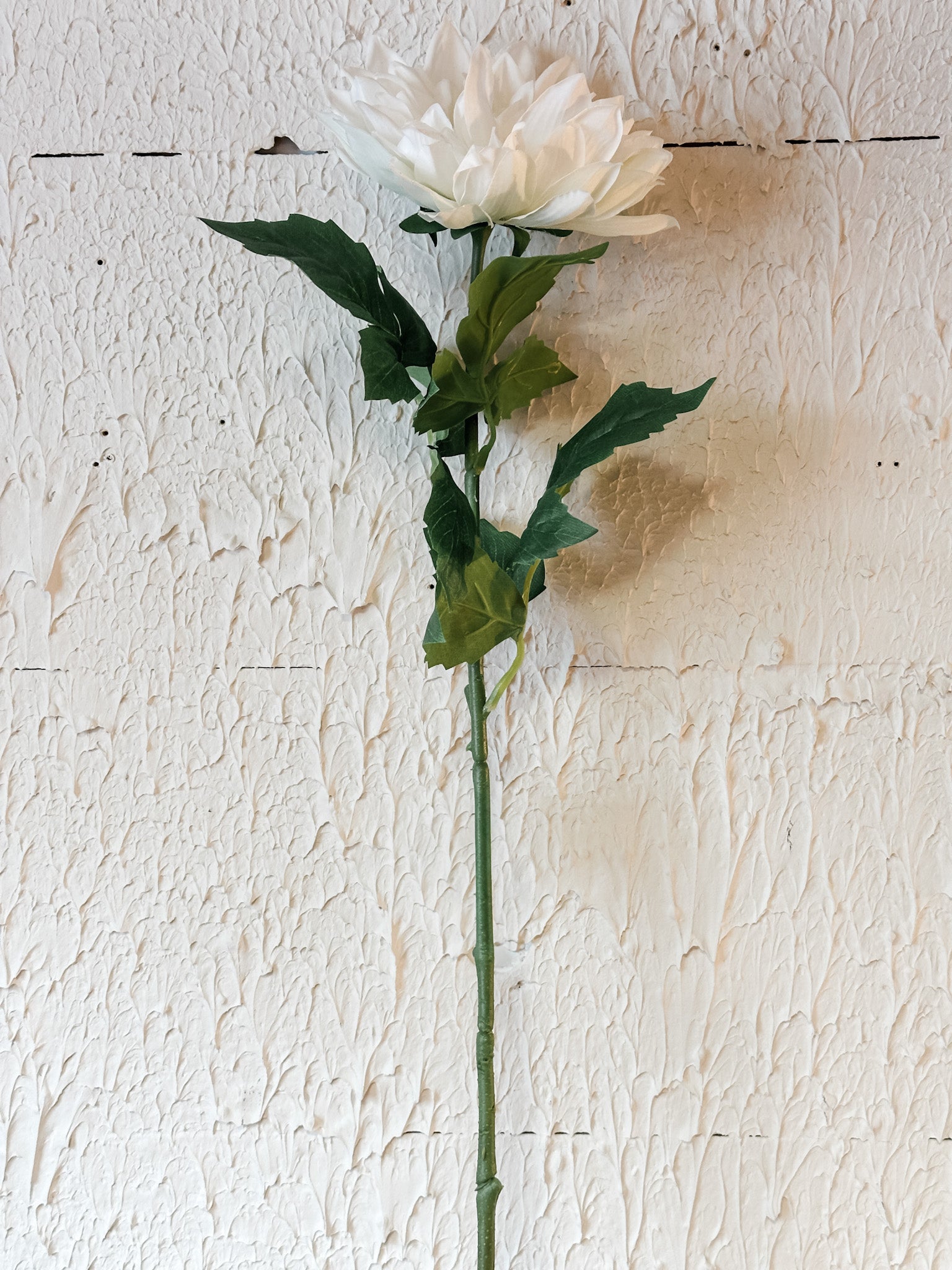 long stem real touch white dahlia at the rustic barn in killingworth ct
