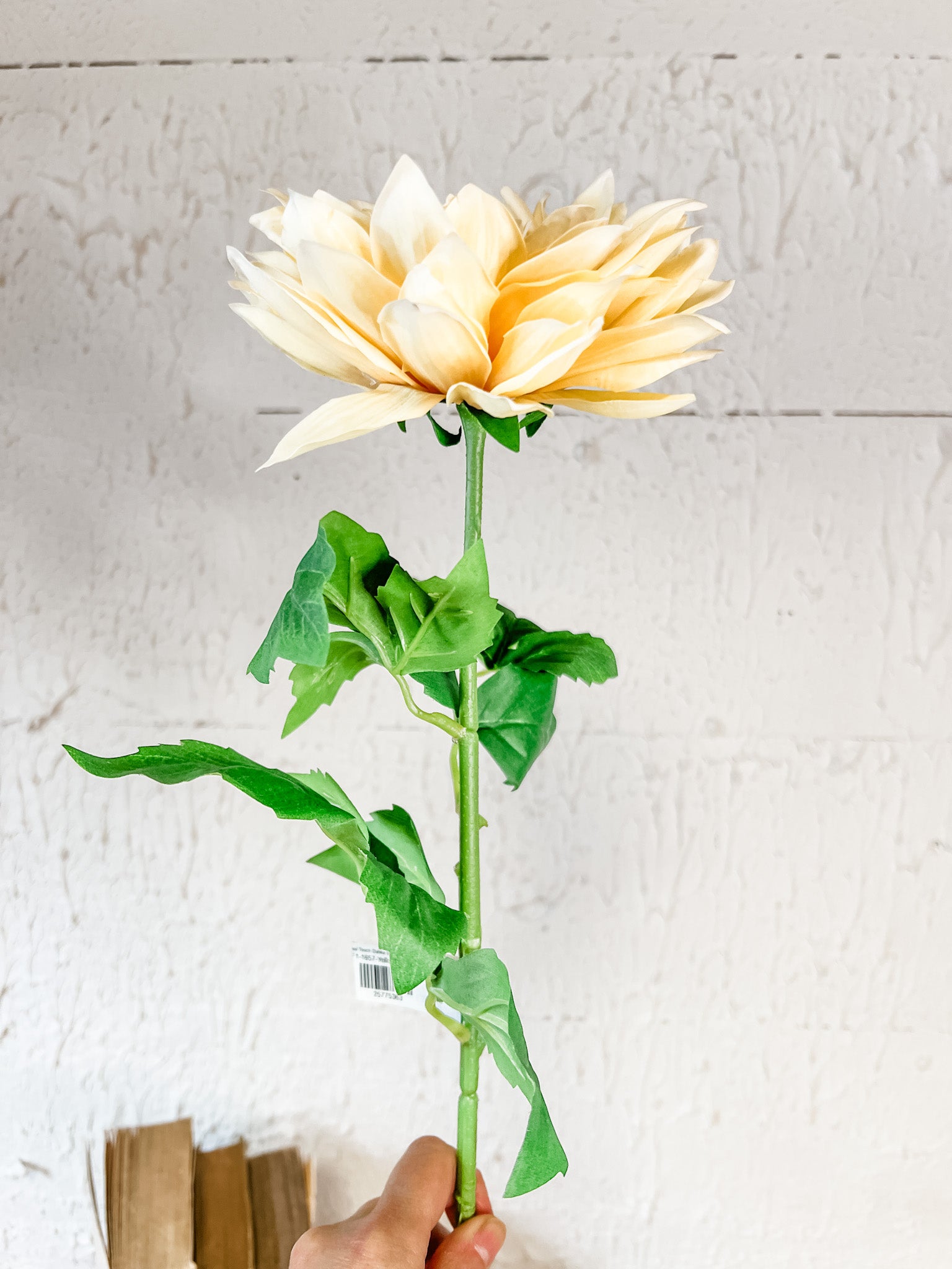 long stem real touch yellow dahlia at the rustic barn in killingworth ct