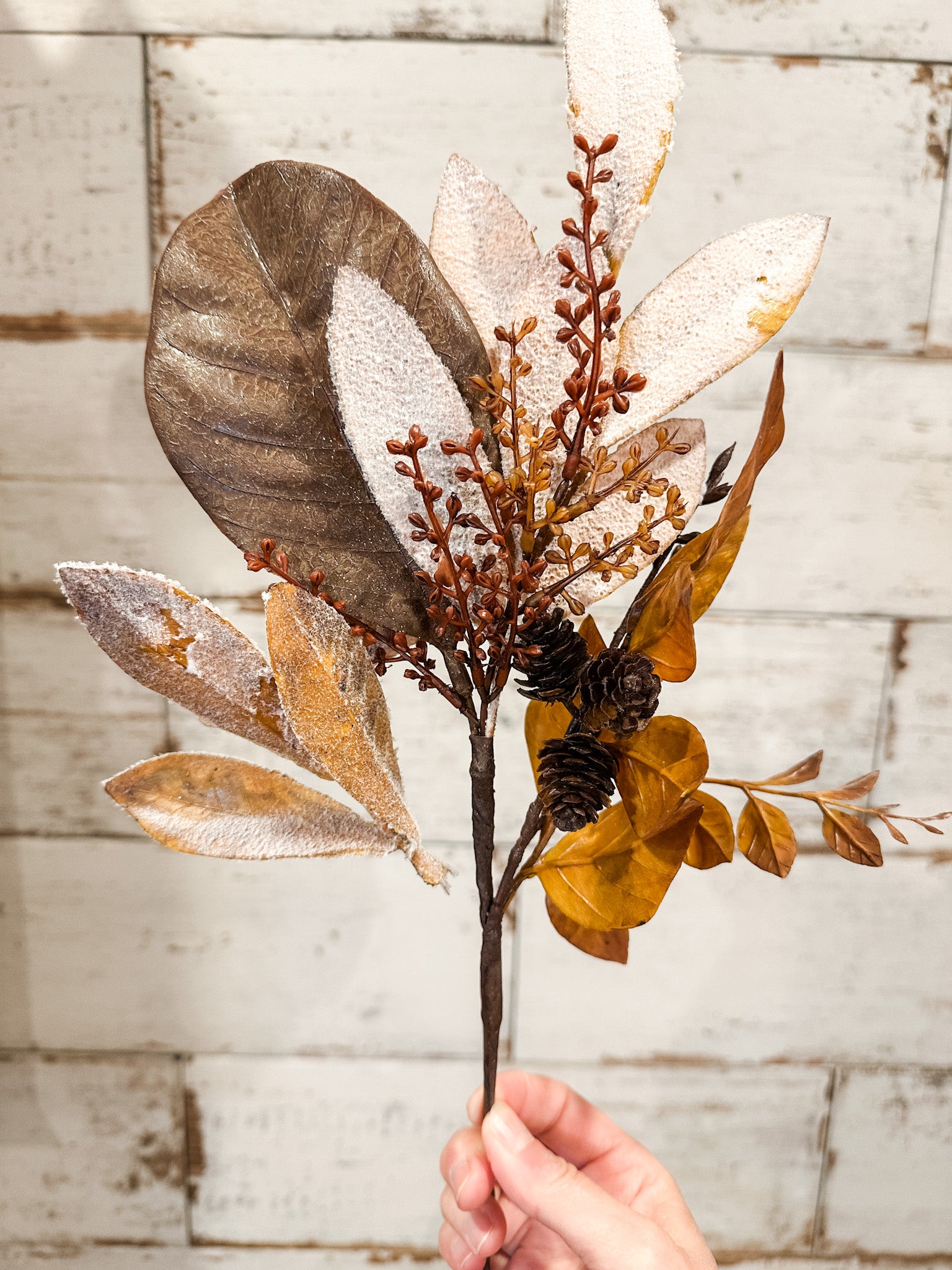 magnolia and pine cone fall foliage stem at the rustic barn in killingworth ct