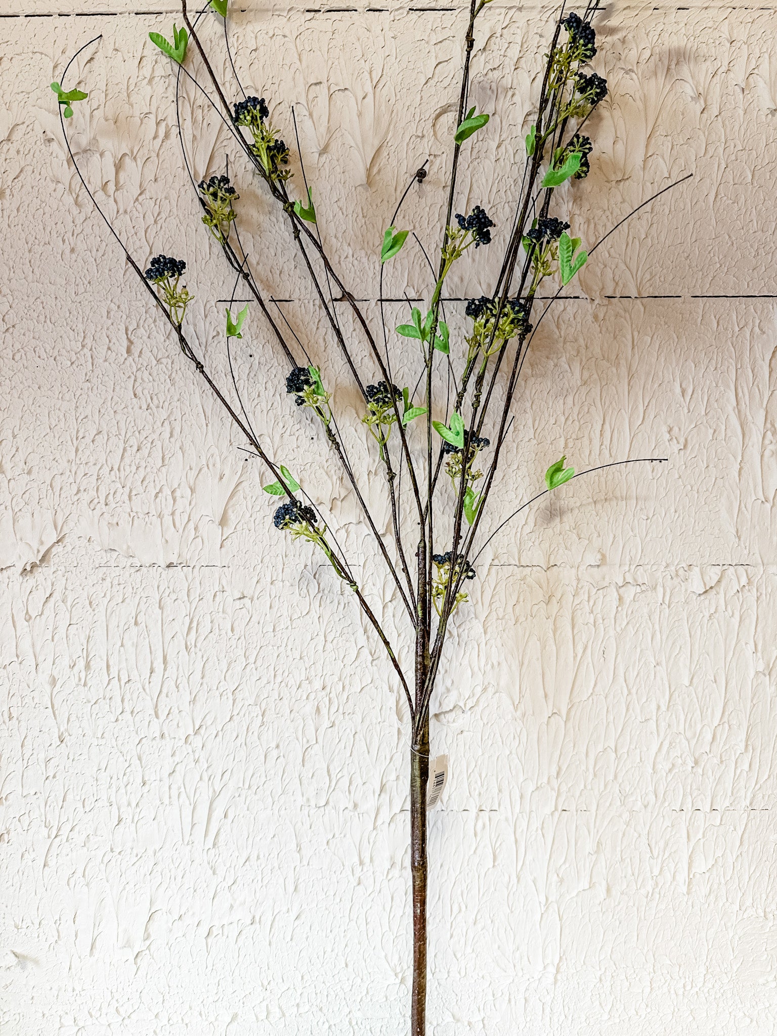 blue berry long stem twig at the rustic barn in killingworth ct