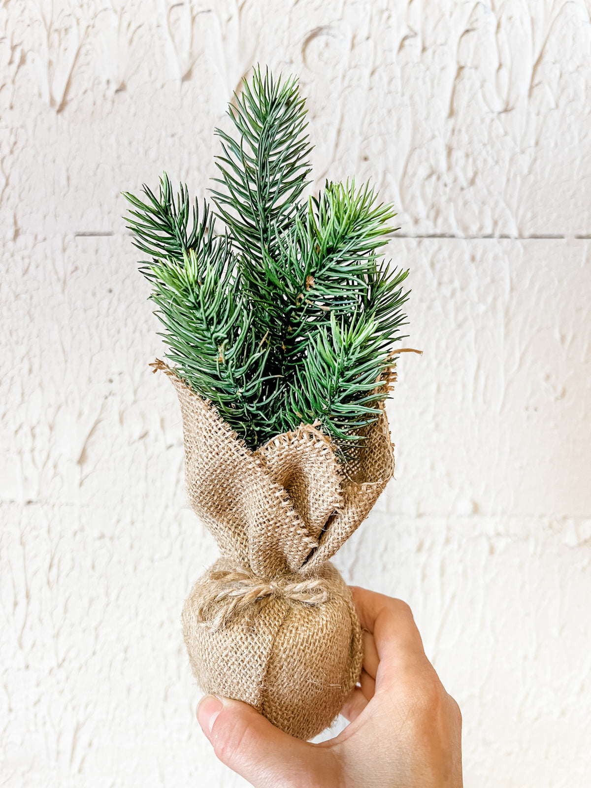 mini pine burlap trees in gift bag at the rustic barn in killingworth ct