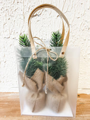 mini pine burlap trees in gift bag at the rustic barn in killingworth ct