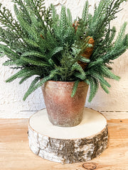 mixed pine and pinecone christmas arrangement at the rustic barn in killingworth ct