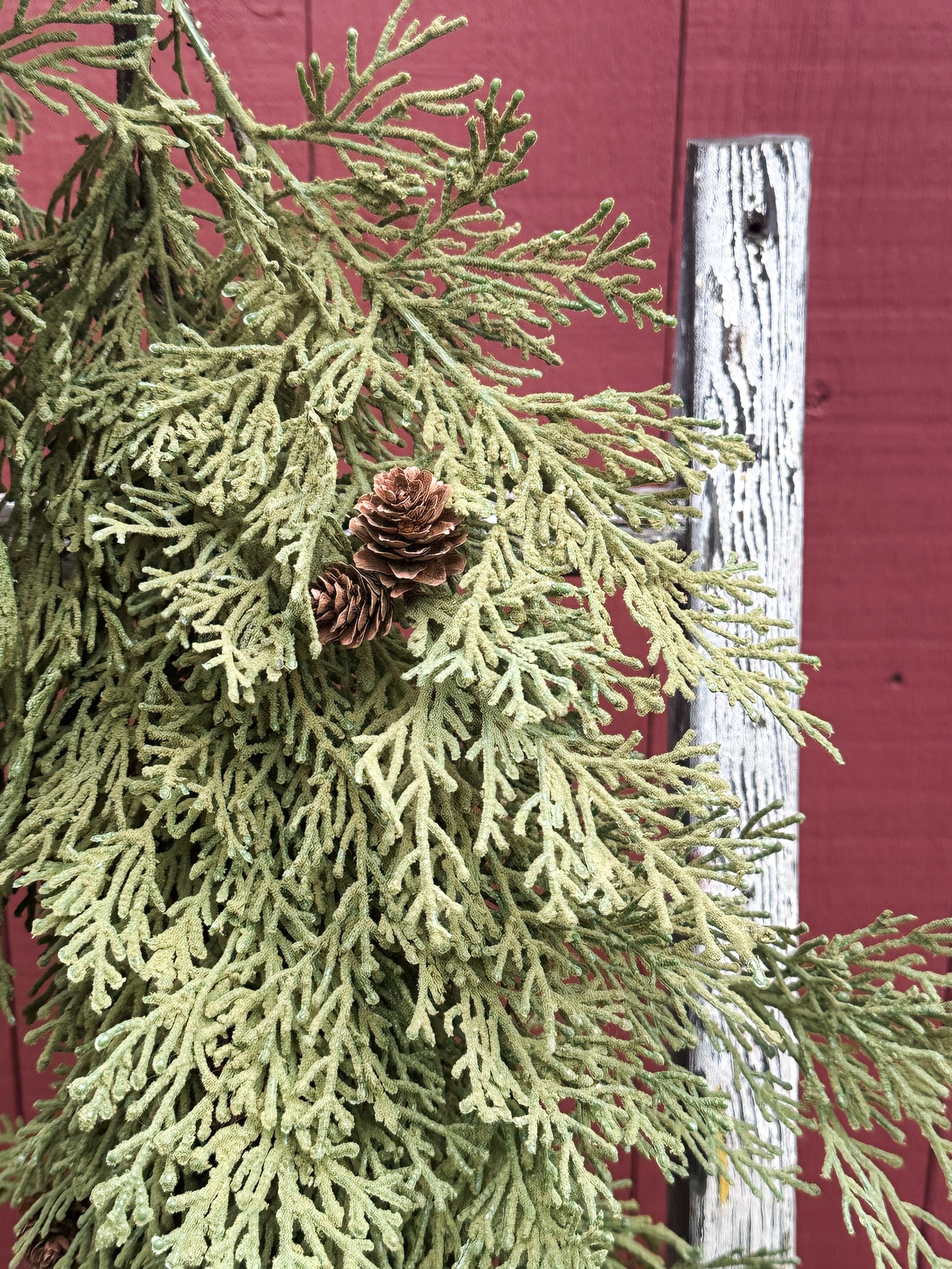 north rim hemlock garland at The Rustic Barn in Killingworth, CT