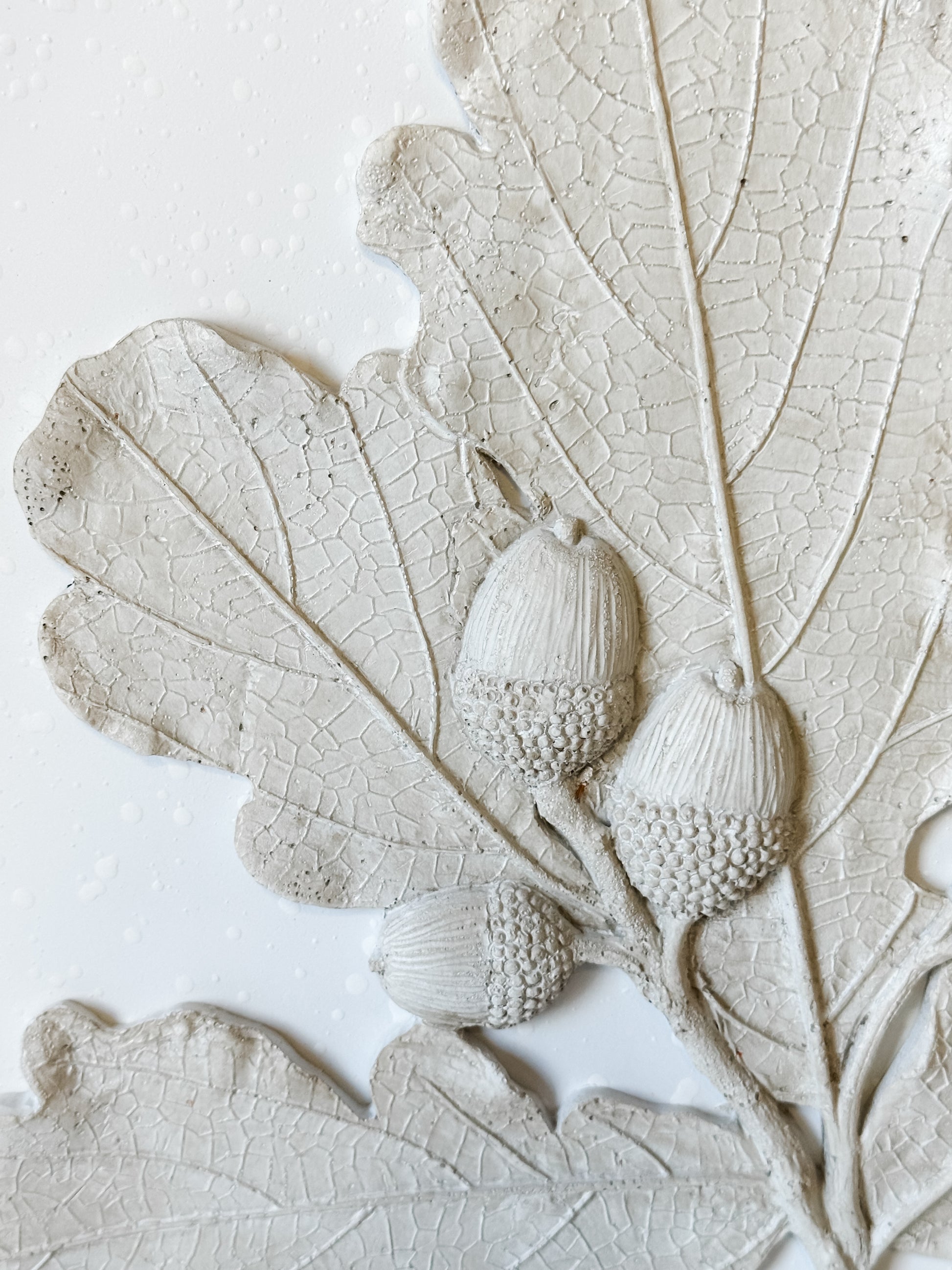 Oval Framed Botanical Wall Décor at the Rustic Barn in Killingworth, CT