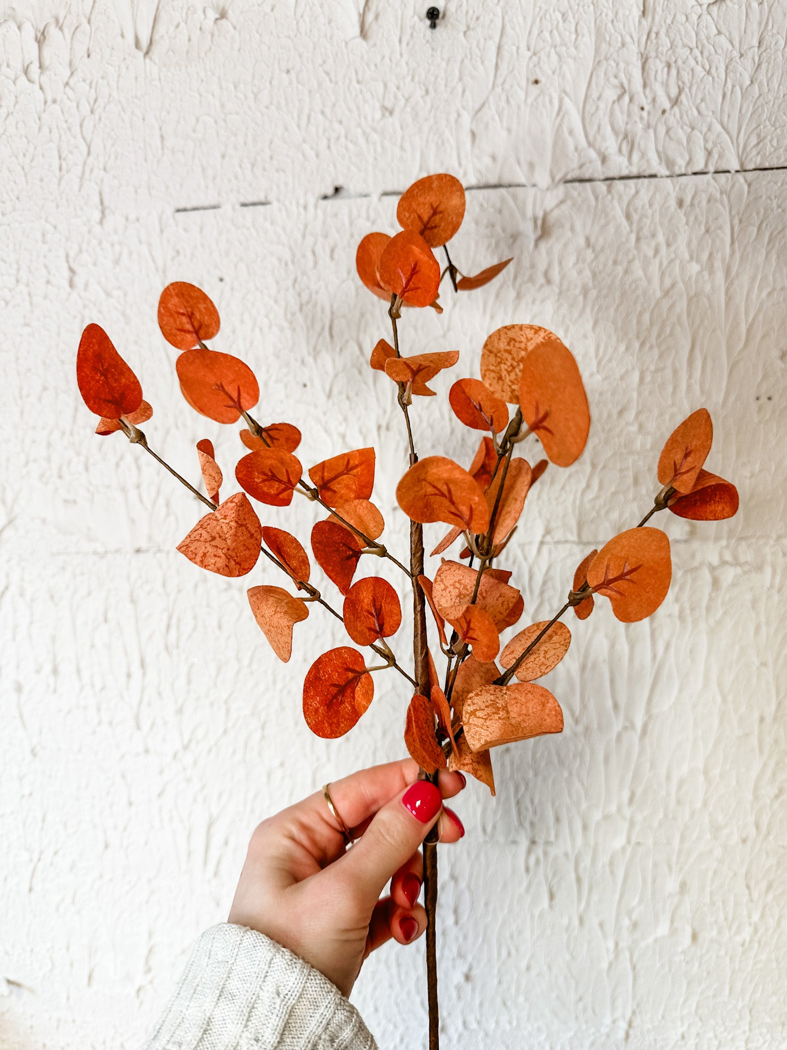 Penny leaf autumn fall foliage burnt orange color at the rustic barn in killingworth, CT