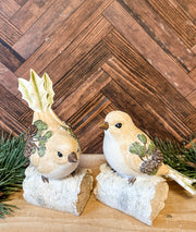 perched christmas birds on white birch at the rustic barn in killingworth ct