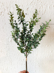 faux privet greenery bundle at the Rustic Barn in Killingworth, CT