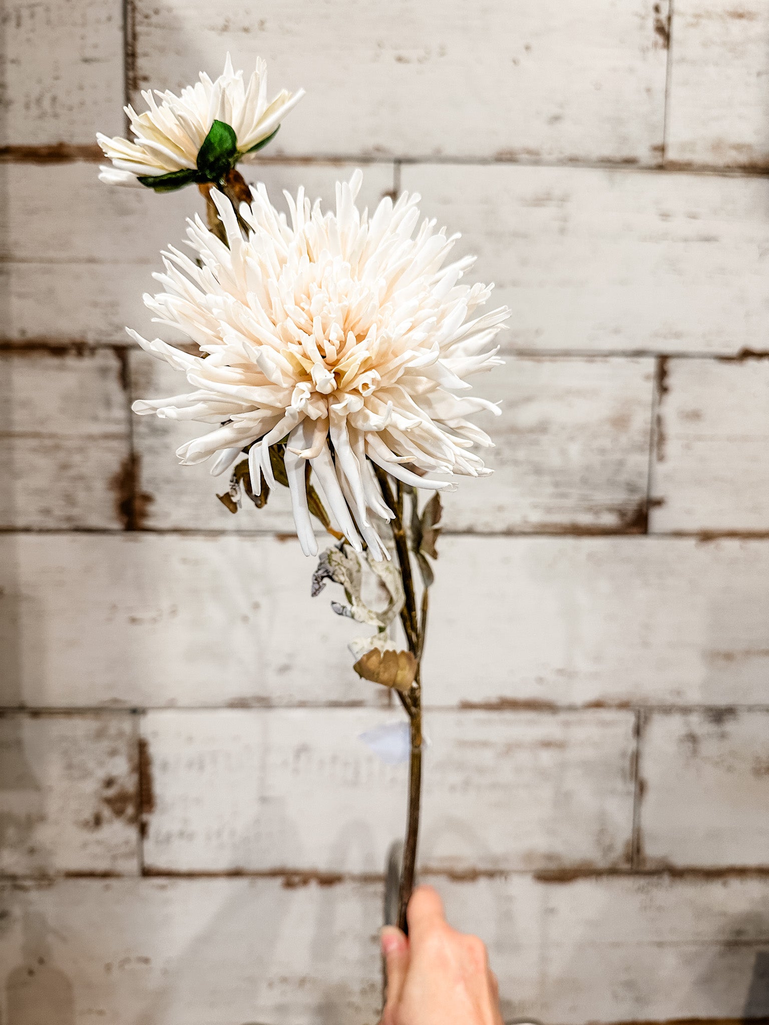 real touch creamy white faux fall dahlia spray at the rustic barn in killingworth ct