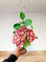 Real Touch Hydrangea Bundle