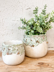 rustic oak leaves and acorns cement planters at the rustic barn in killingworth ct