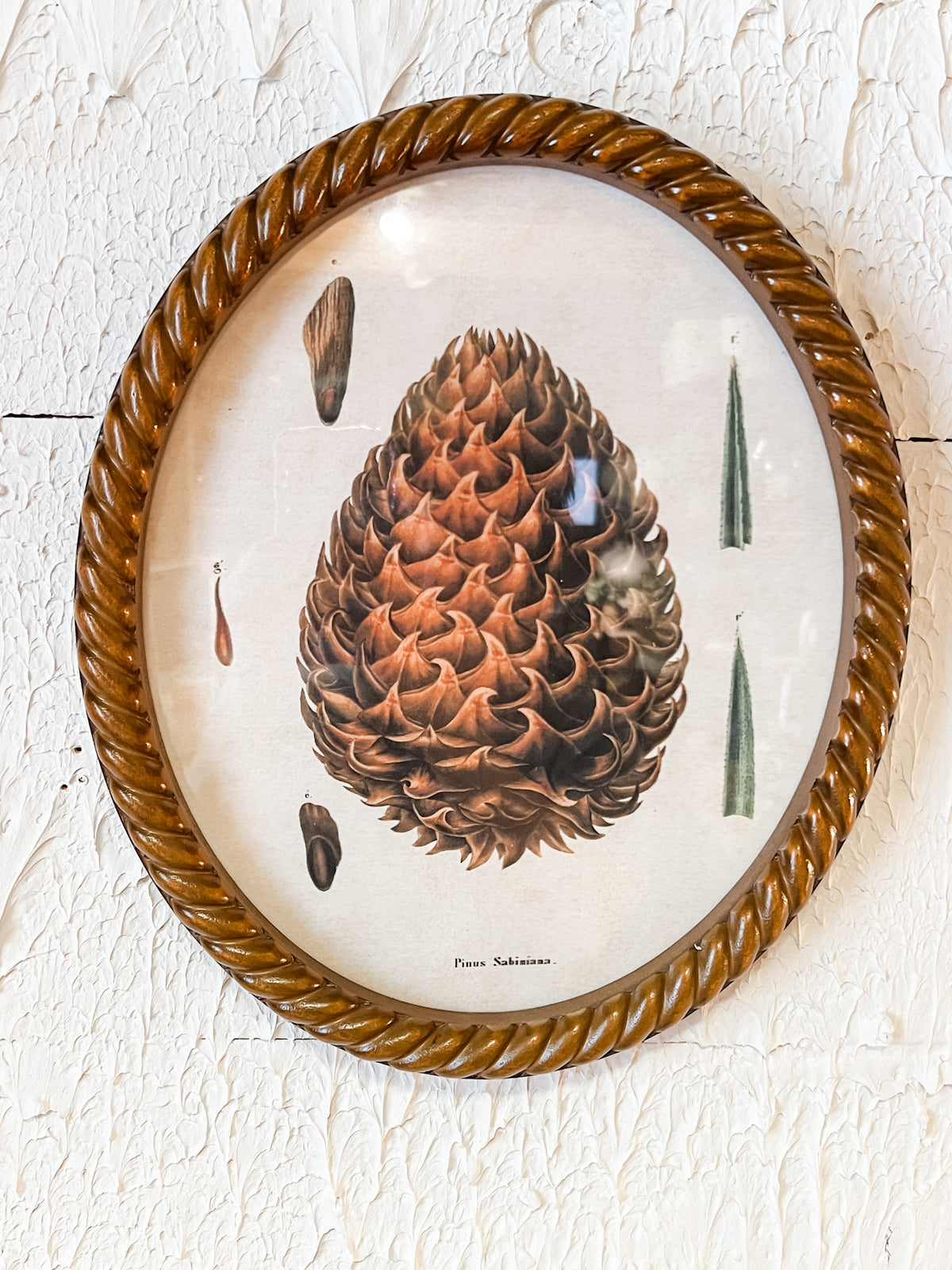 rustic oval pincone wall art at the rustic barn in killingworth ct