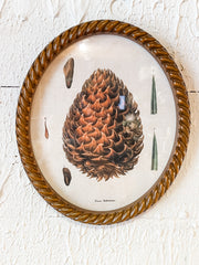 rustic oval pincone wall art at the rustic barn in killingworth ct
