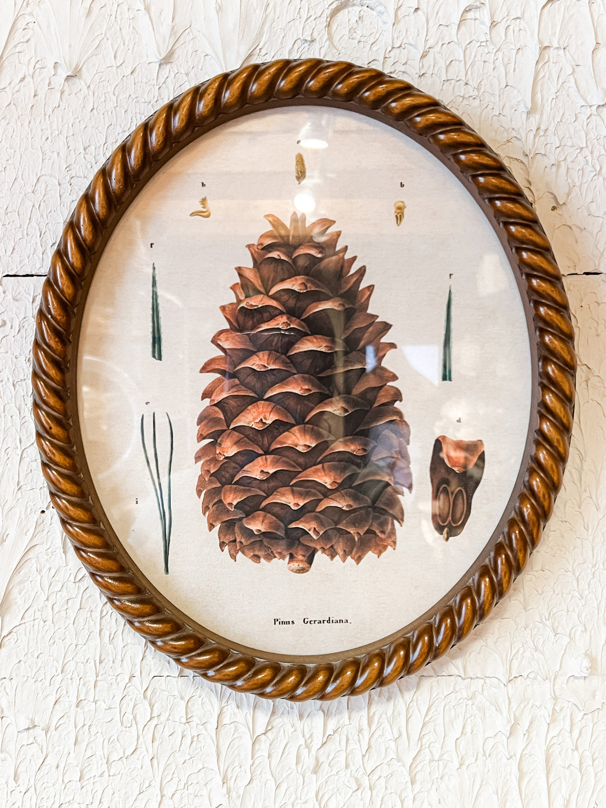 rustic oval pincone wall art at the rustic barn in killingworth ct