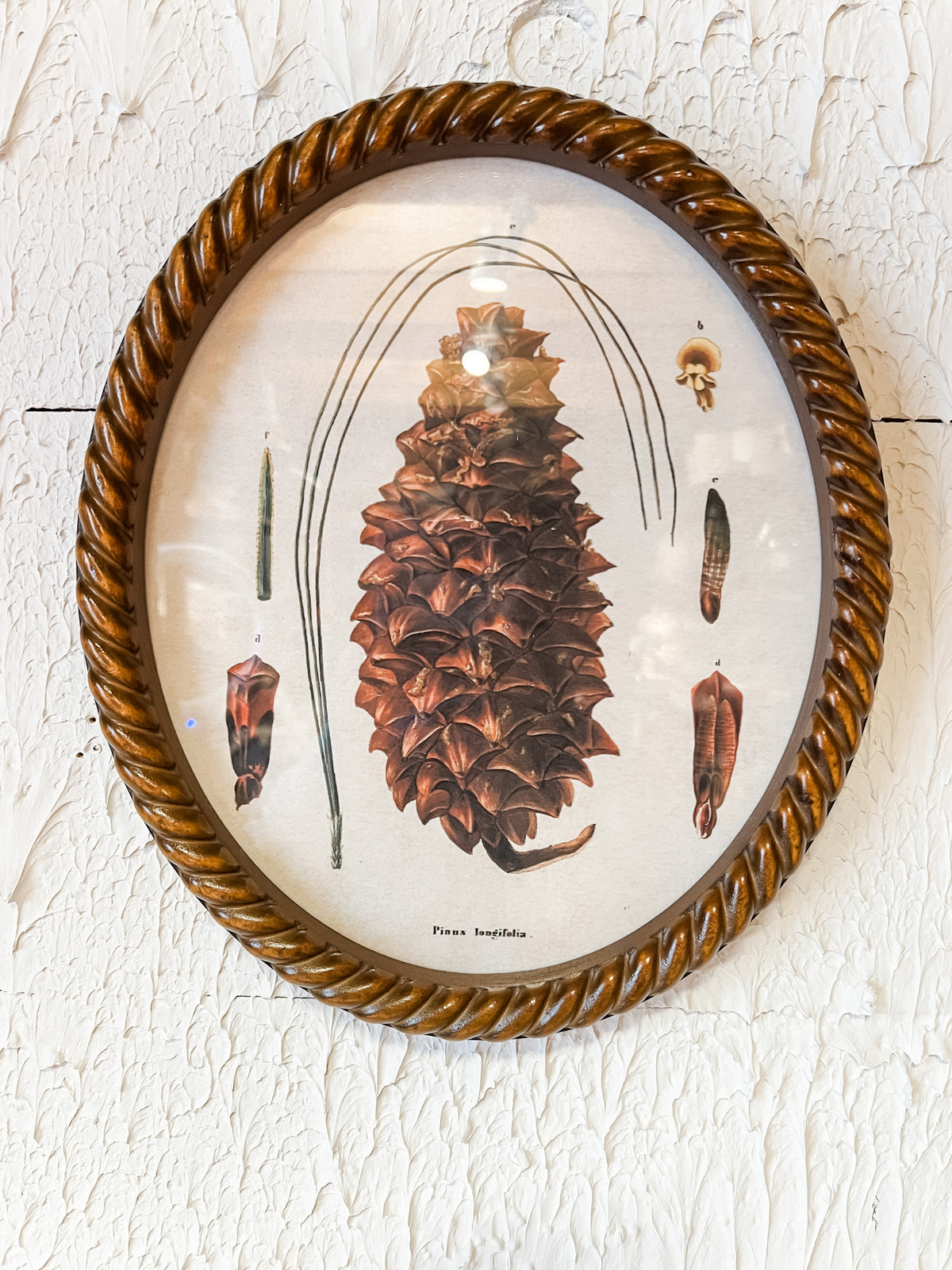 rustic oval pincone wall art at the rustic barn in killingworth ct