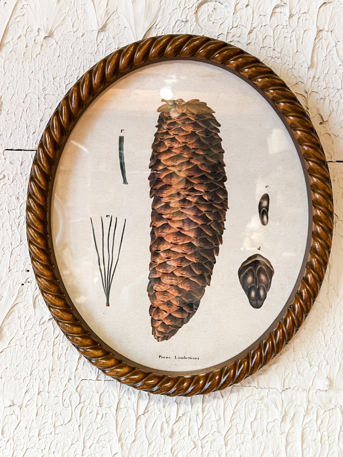 rustic oval pincone wall art at the rustic barn in killingworth ct