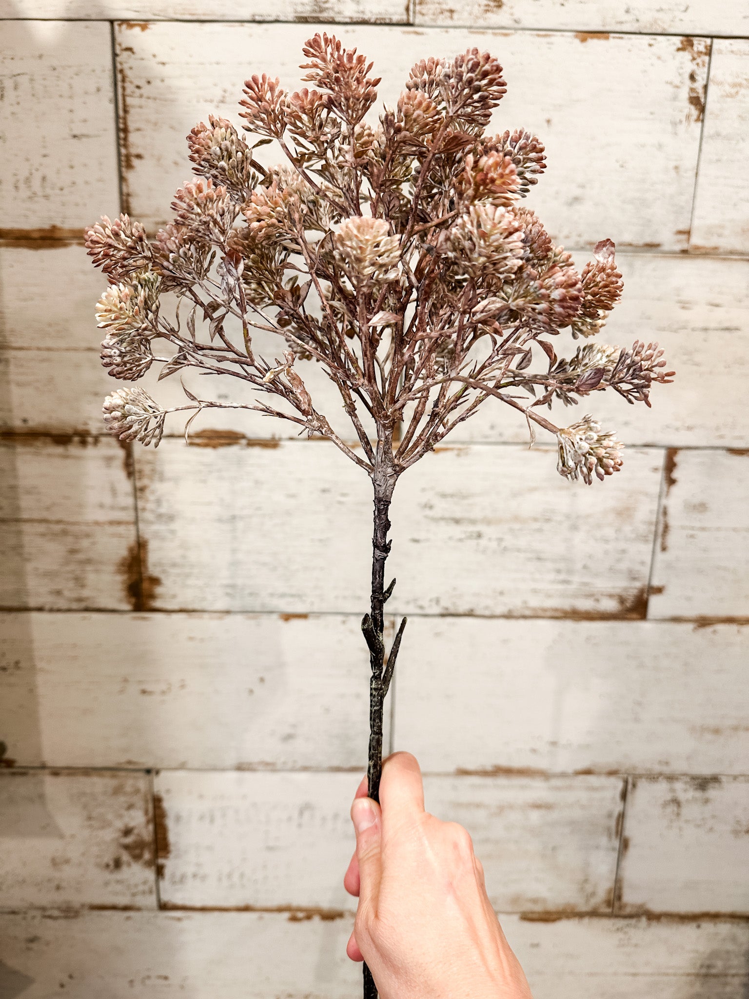 rustic whitewashed faux fall sedum stem at the rustic barn in killingworth ct