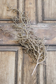 shimmering metallic gold twig bush for the holidays and christmas for sale at the rustic barn in killingworth, CT