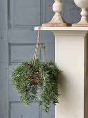 Sining Spindle Pine Hanging Basket