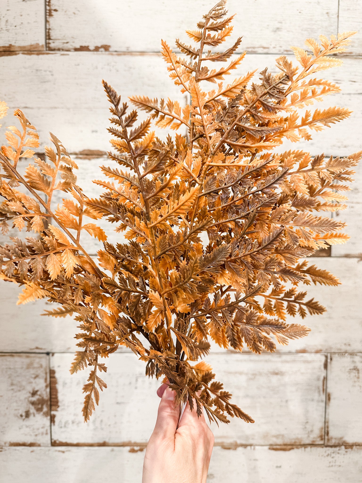 soft touch golden color fall ferns at the rustic barn in killingworth ct