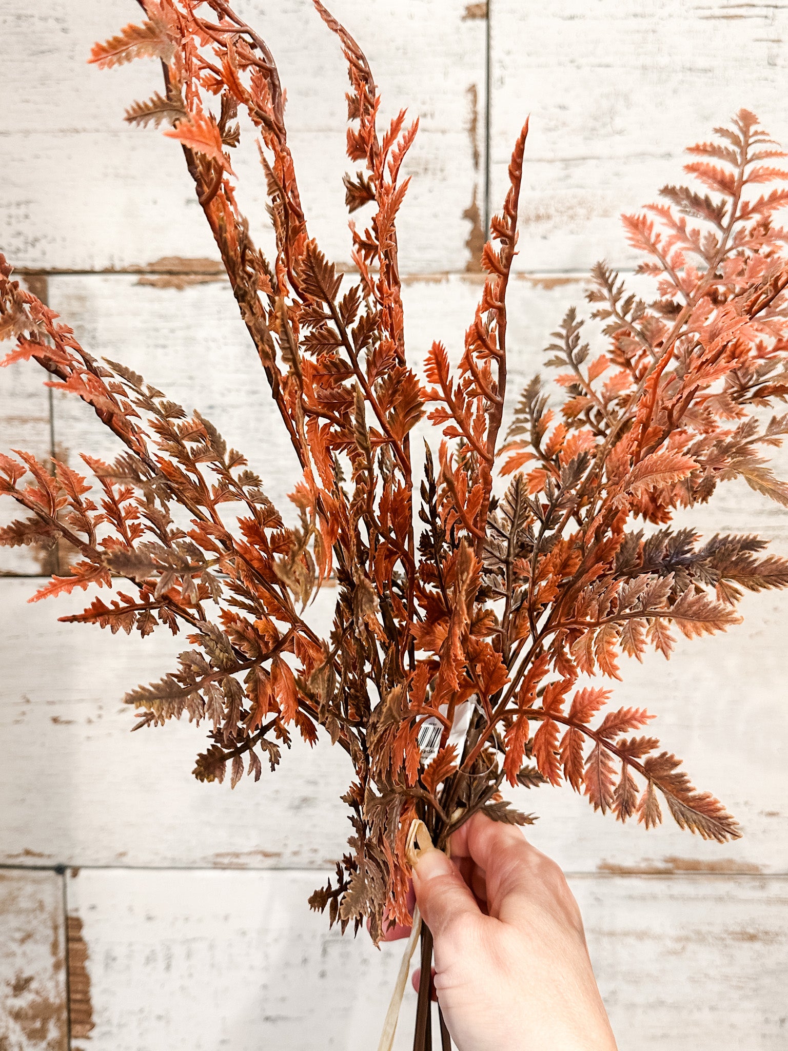 soft touch russet orange color fall ferns at the rustic barn in killingworth ct
