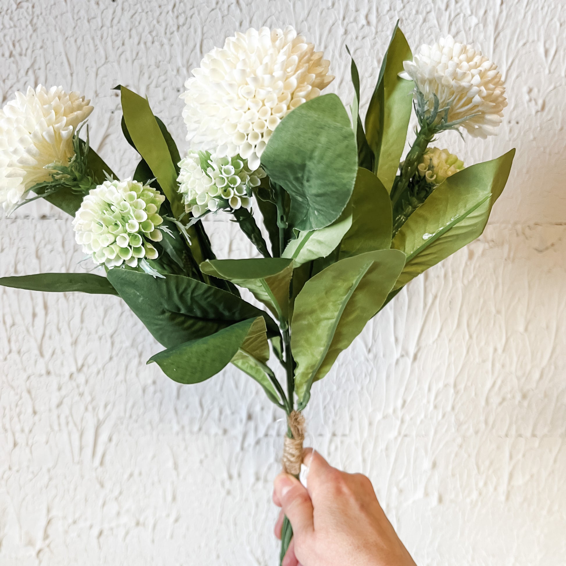 Bouquet of white and green flowers held against a textured white wall.