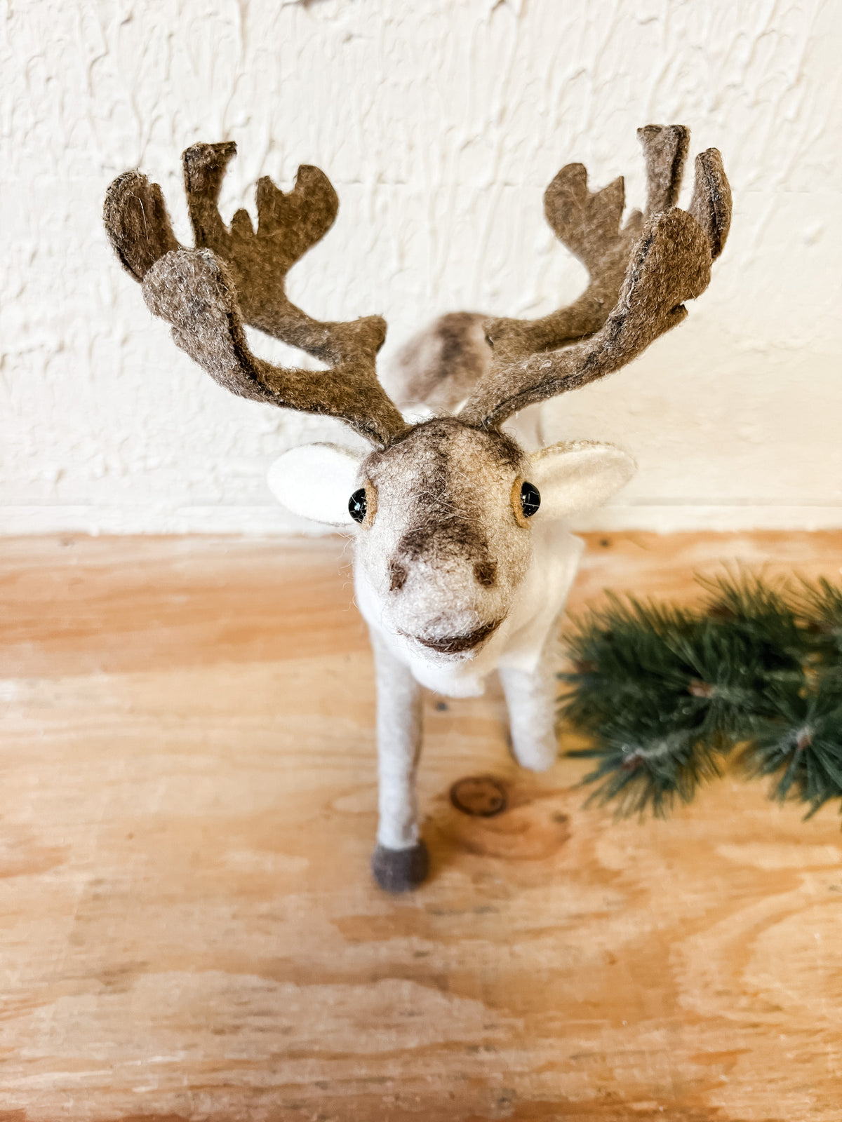 standing caribou brown and cream at the rustic barn in killingworth ct
