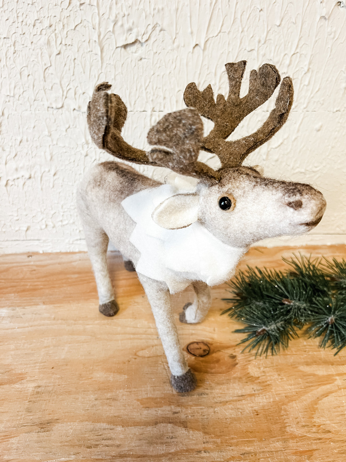 standing caribou brown and cream at the rustic barn in killingworth ct