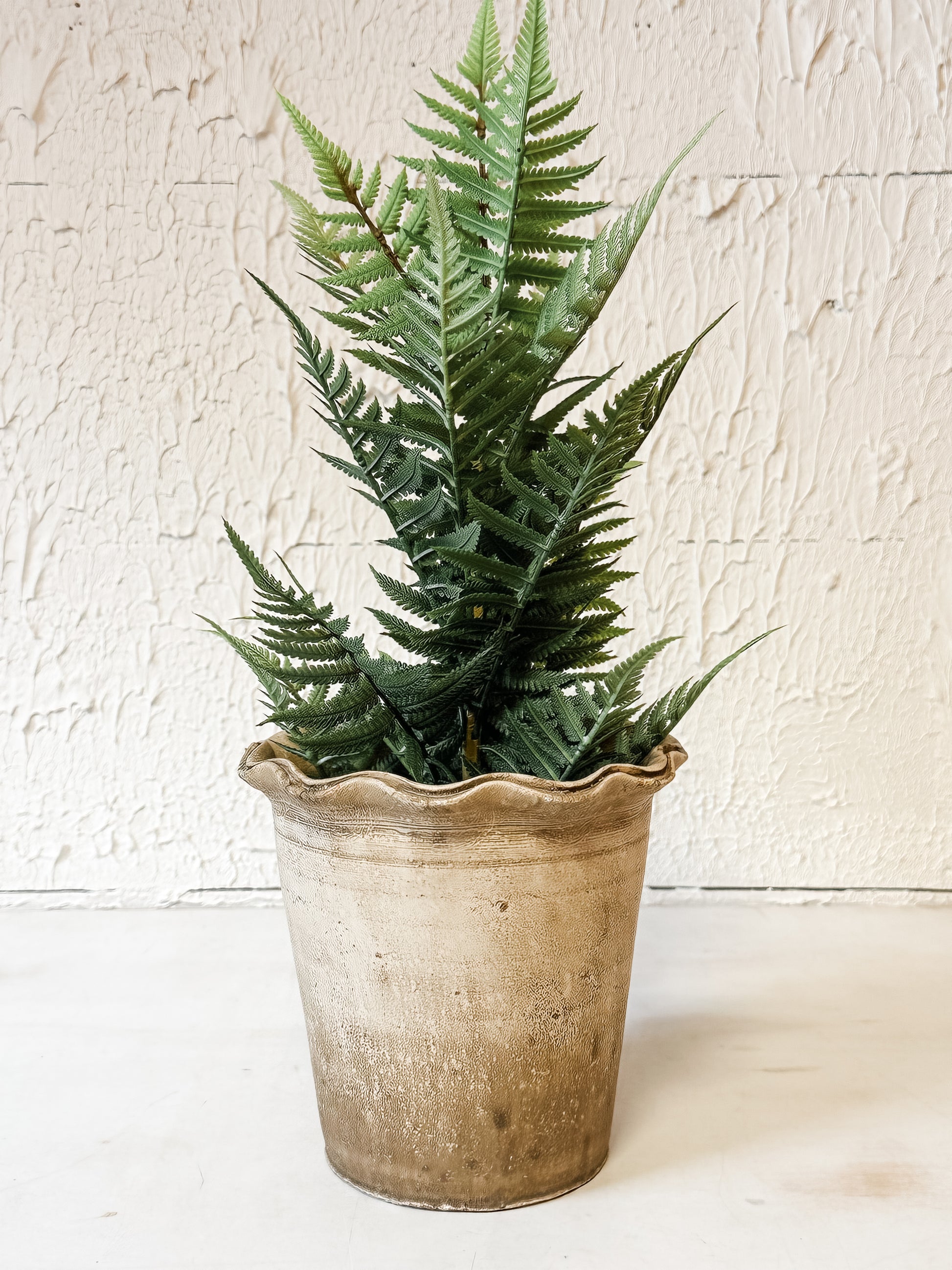 terra-cotta planter with scalloped edge and distressed finish at The Rustic Barn in Killingworth CT