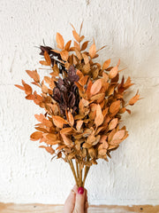 two toned autumn fall leaf bush from the rustic barn in killingworth, CT