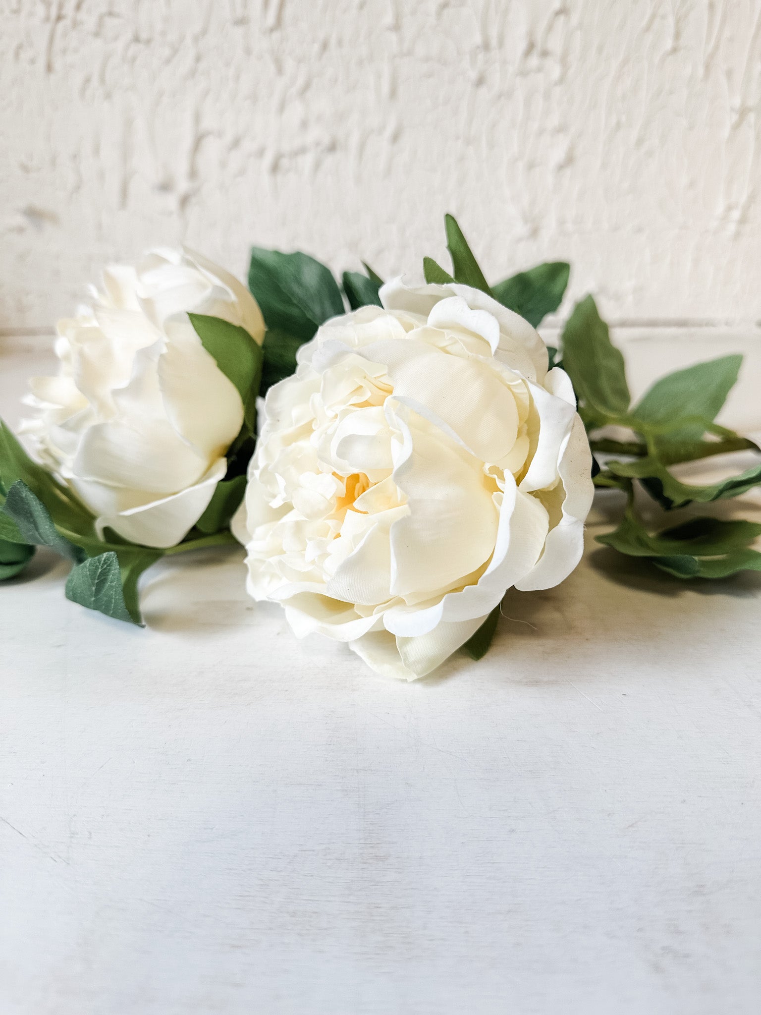 long stem white peony stem at the rustic barn in killingworth ct