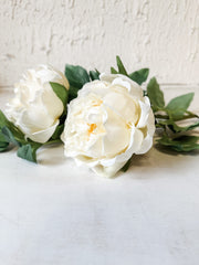 long stem white peony stem at the rustic barn in killingworth ct