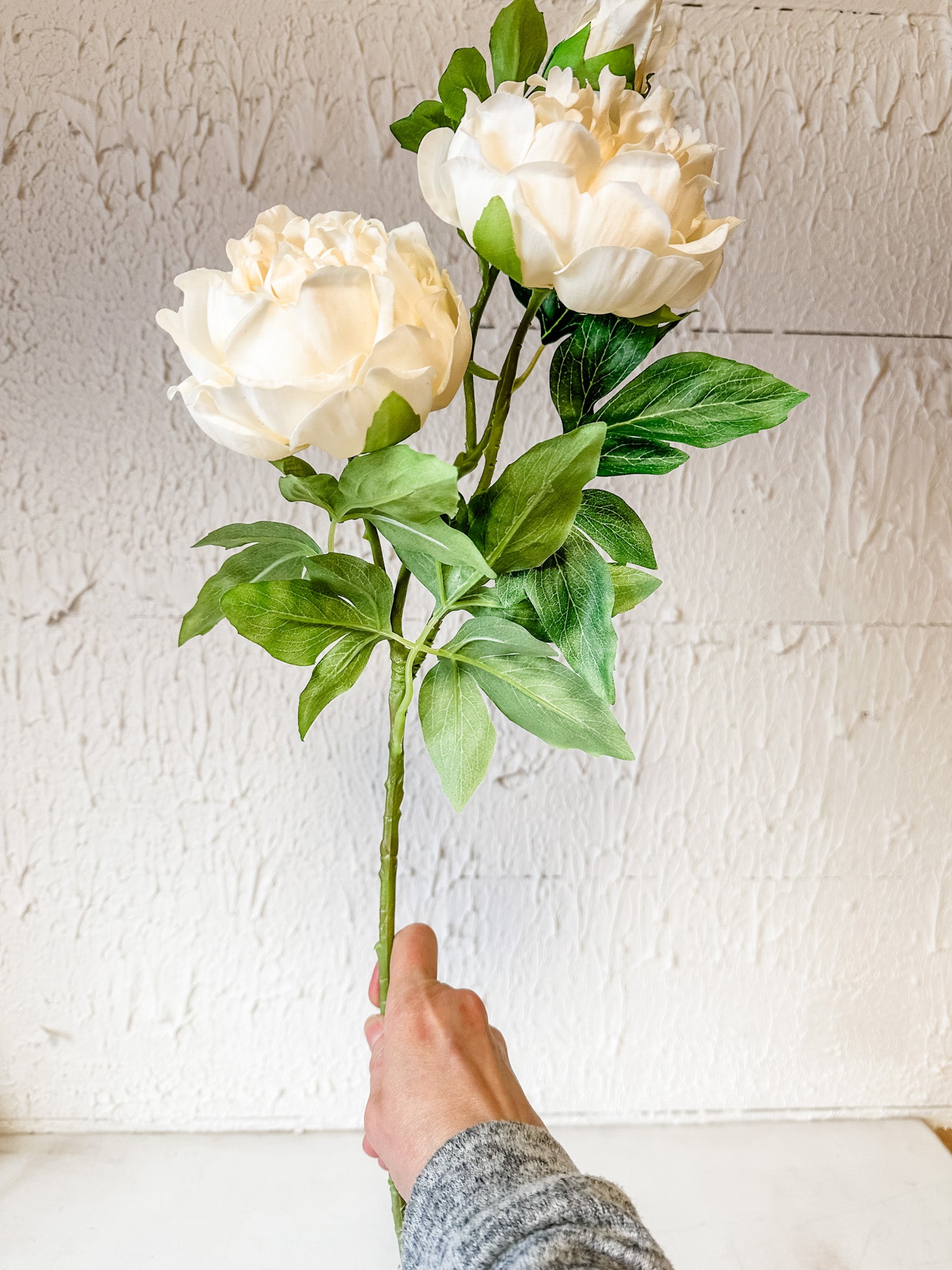 long stem white peony stem at the rustic barn in killingworth ct