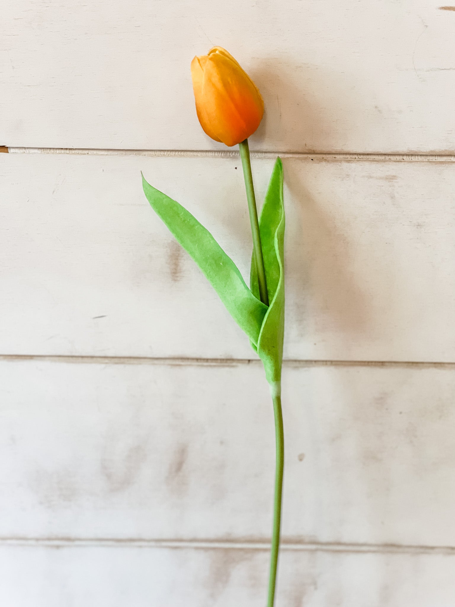 Real Touch Mini Tulip