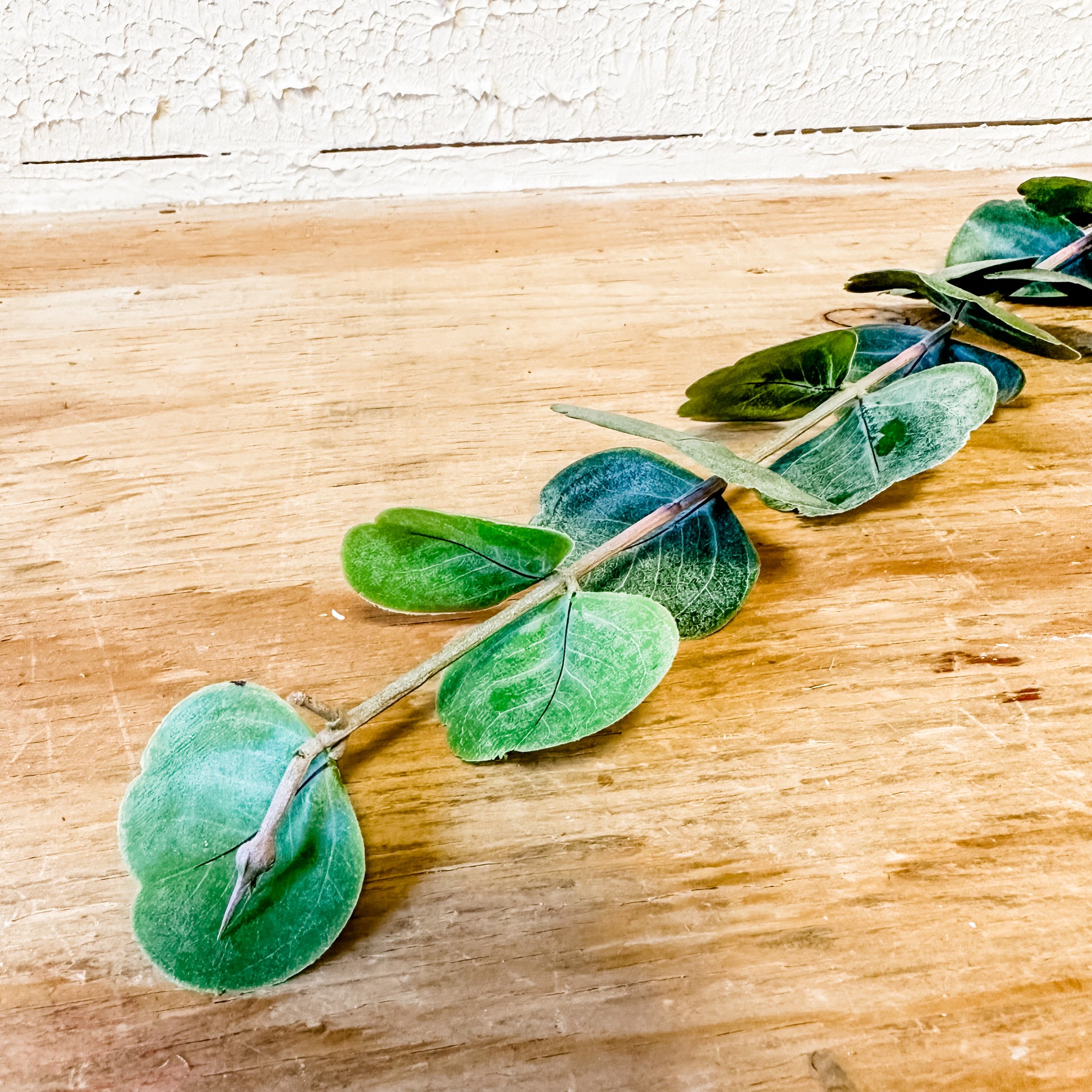 cotinus leaf spray the rustic barn ct